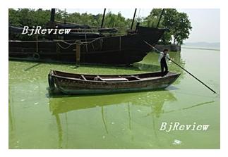 GreenDisaster